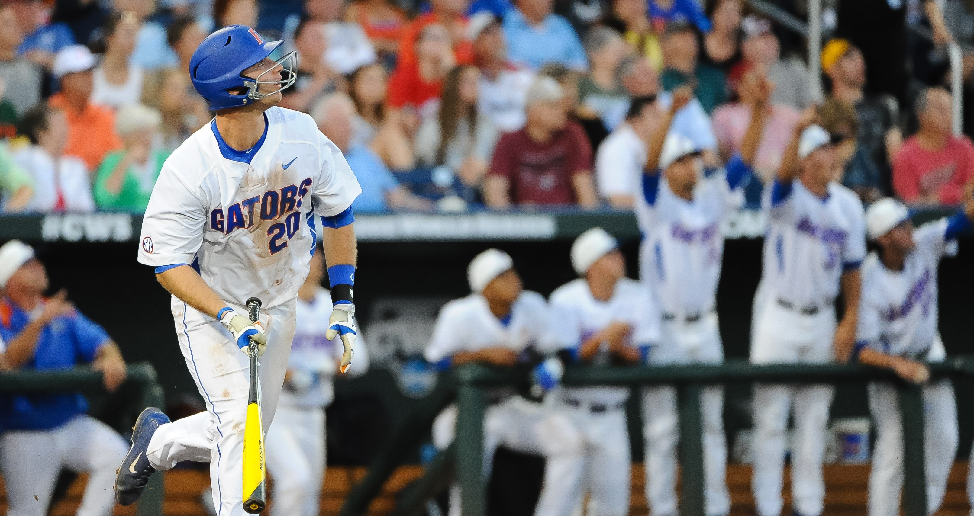 Peter Alonso's Collegiate Career Ends with a Dominating CBWS