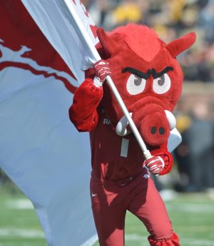 Nov 28, 2014; Columbia, MO, USA; The Arkansas Razorbacks mascot runs with their flag on the field before the game against the Missouri Tigers at Faurot Field. Missouri won 21-14. Mandatory Credit: Denny Medley-USA TODAY Sports
