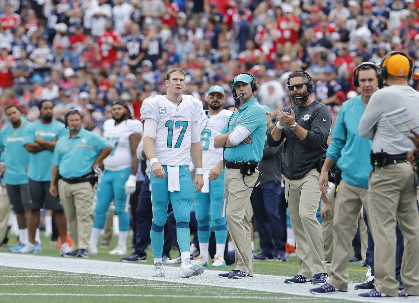 dolphins browns odds