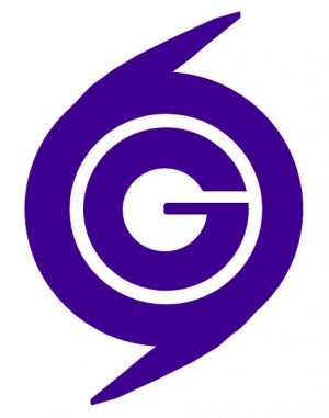 hurricanes-logo