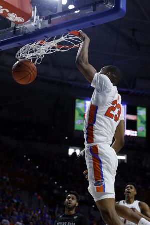 Gators dunk the ball