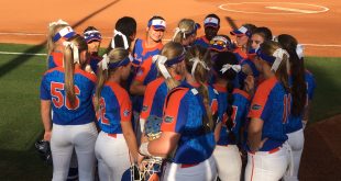 gator softball