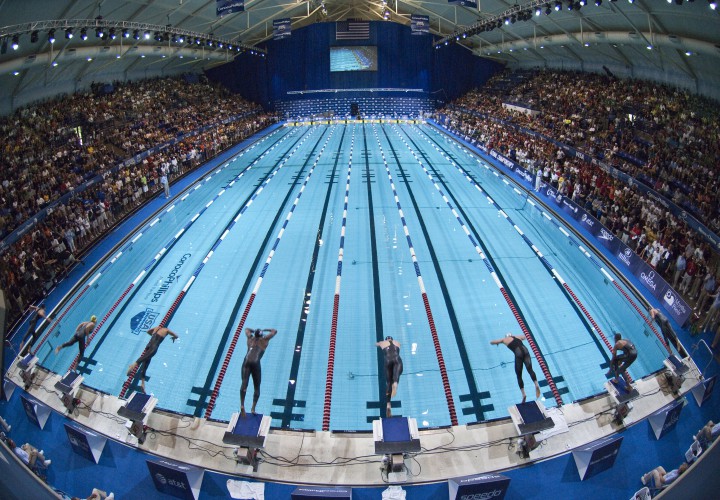Gators Men's Swimming & Diving Finish Third Nationally