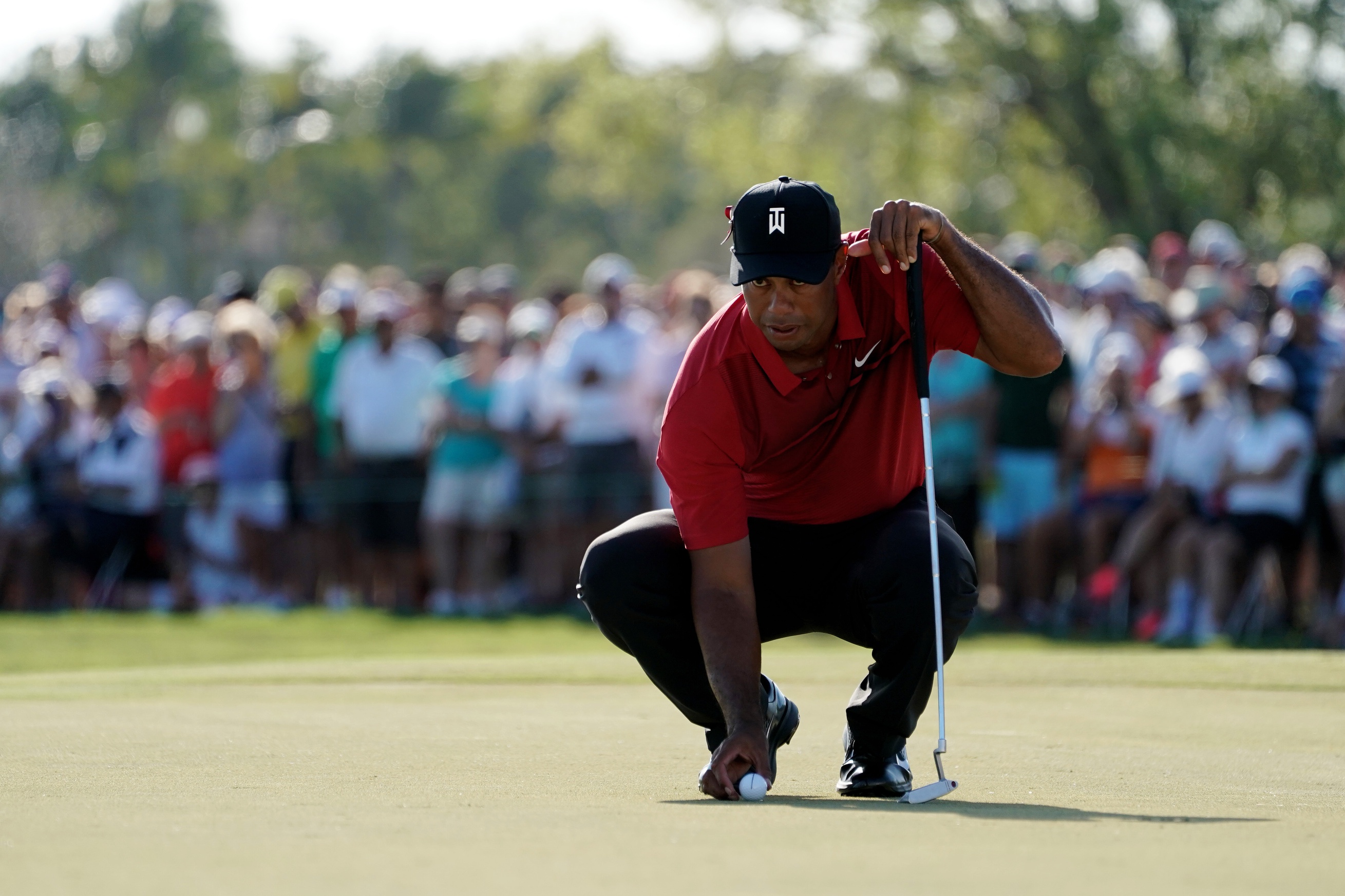 Tiger Woods Honda Classic 2022