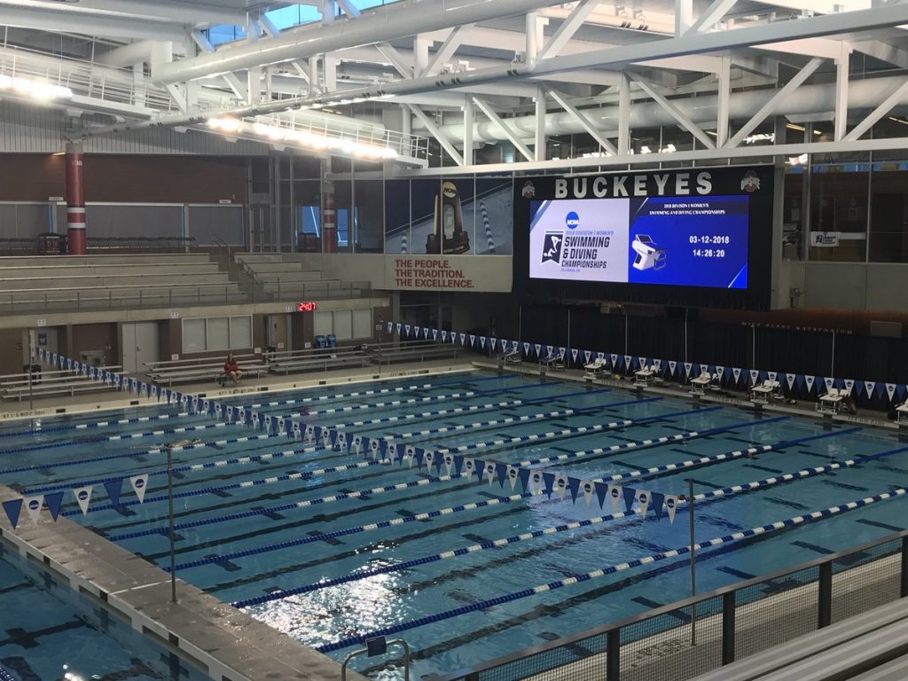 Florida Women’s Swim and Dive Team Take on the NCAA Championship – WRUF ...