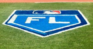 Rays, dugout, analysts