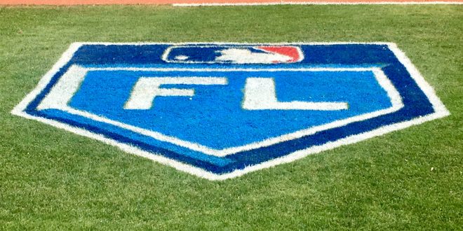 Rays, dugout, analysts