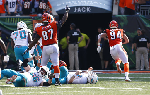 Miami Dolphins vs. Cincinnati Bengals. NFL Game. American Football