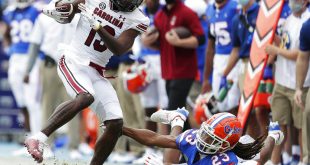 Gators