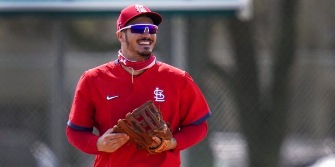 high school nolan arenado