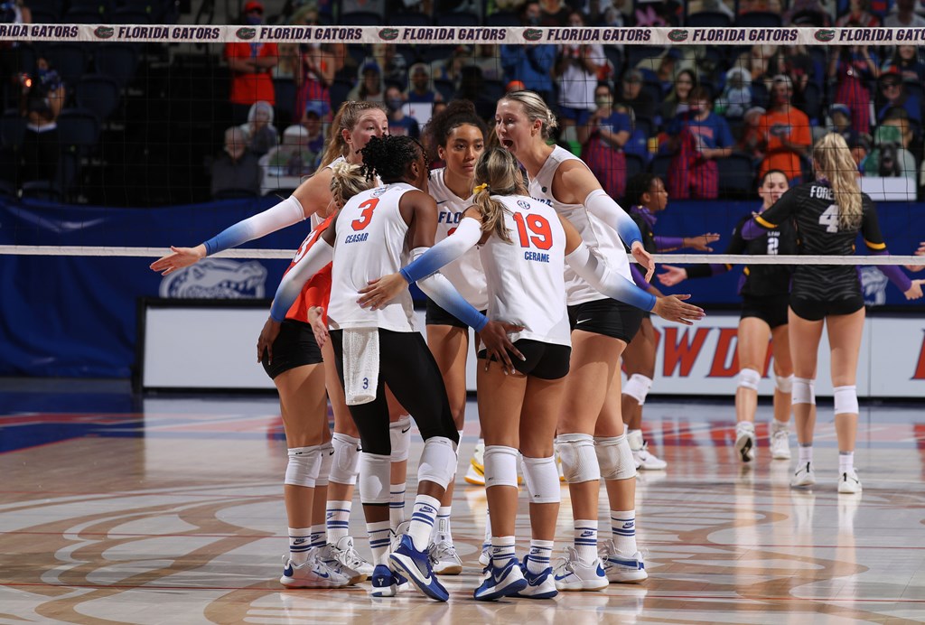 Florida on sale gators volleyball