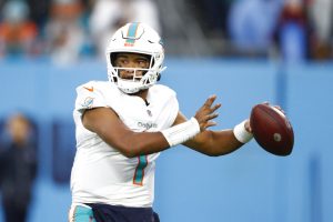 Miami Dolphins quarterback goes back to pass