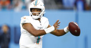 Miami Dolphins quarterback goes back to pass