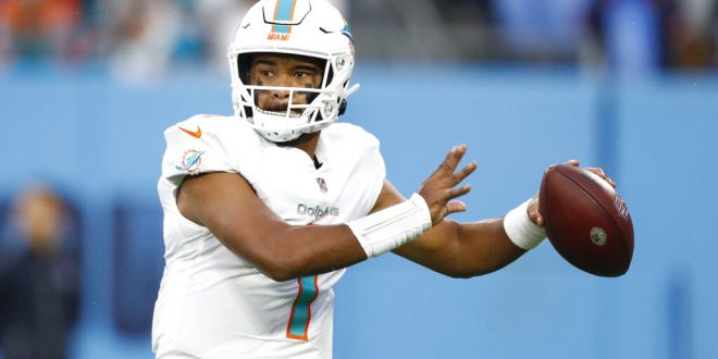 Miami Dolphins quarterback goes back to pass