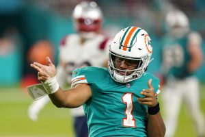 Dolphins celebrate a touchdown