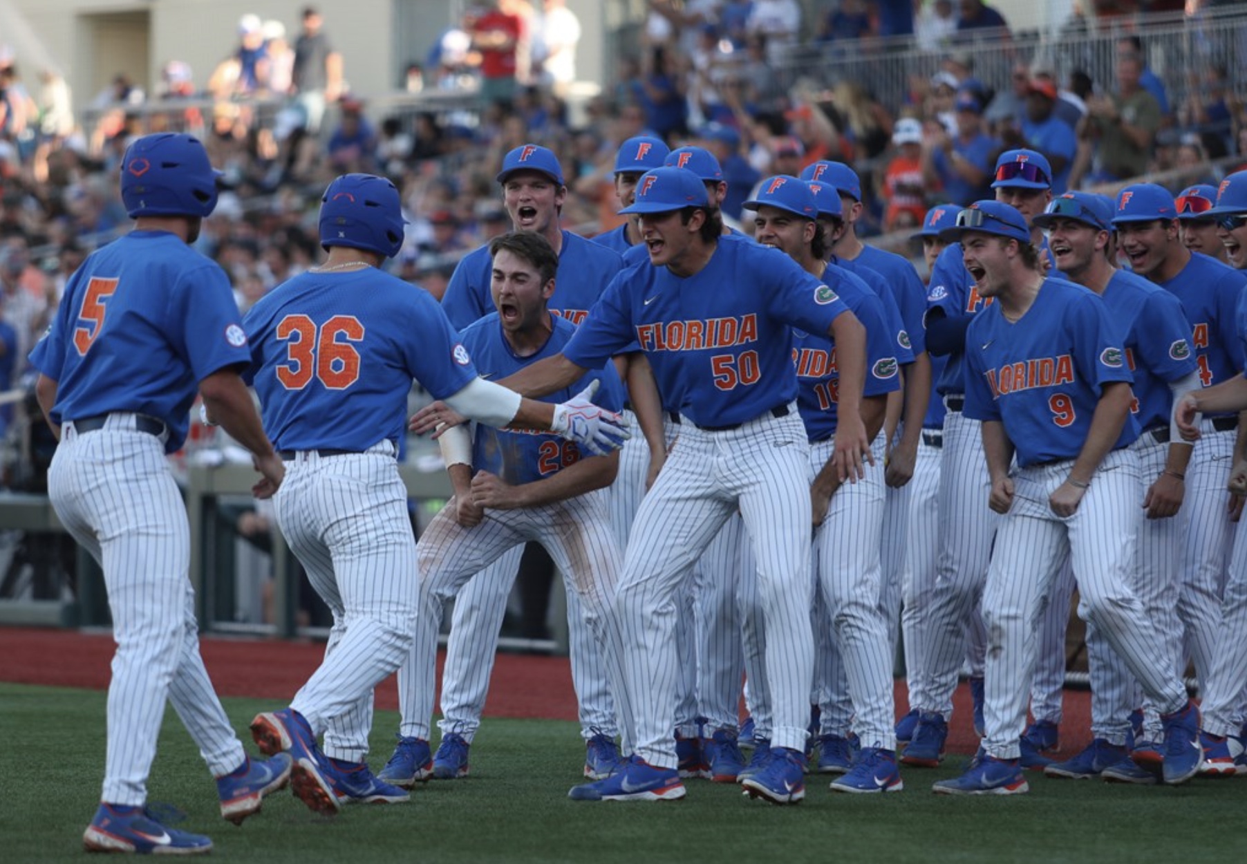 Gator Baseball starts final week of the regular season against FSU