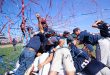 Ole Miss celebrates with a dogpile after striking out the last three Sooners to secure their title as the 2022 Men's College World Series National Champions.