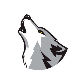 Saint Francis Mascot