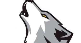 Saint Francis Mascot