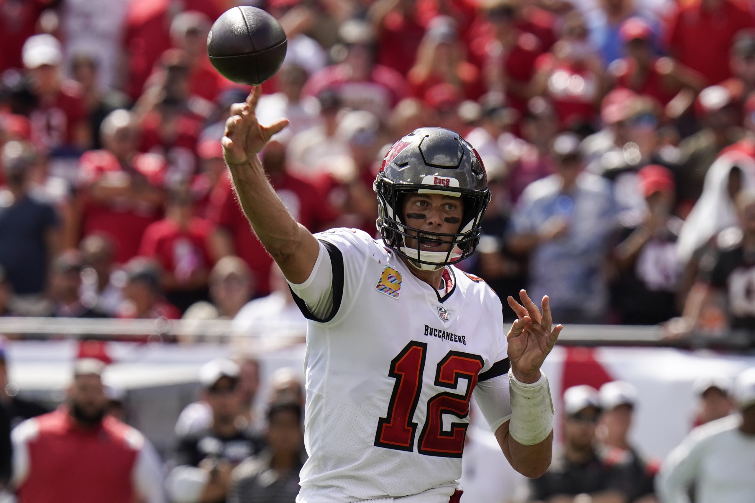 Falcons