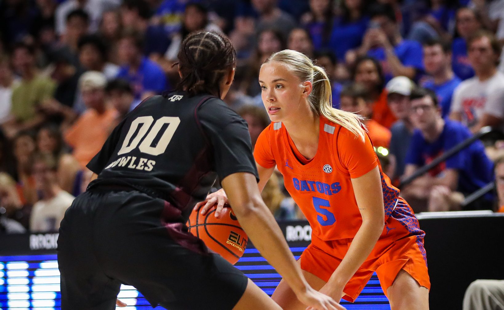 Gators