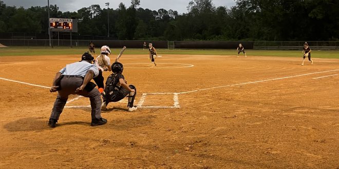 Buchholz High Softball