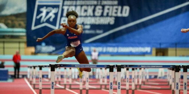 Gators track renovation