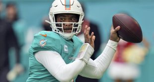 Miami Dolphins