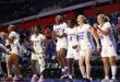 Gators