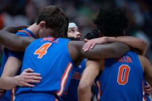 Gators