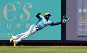 Tampa Bay Rays