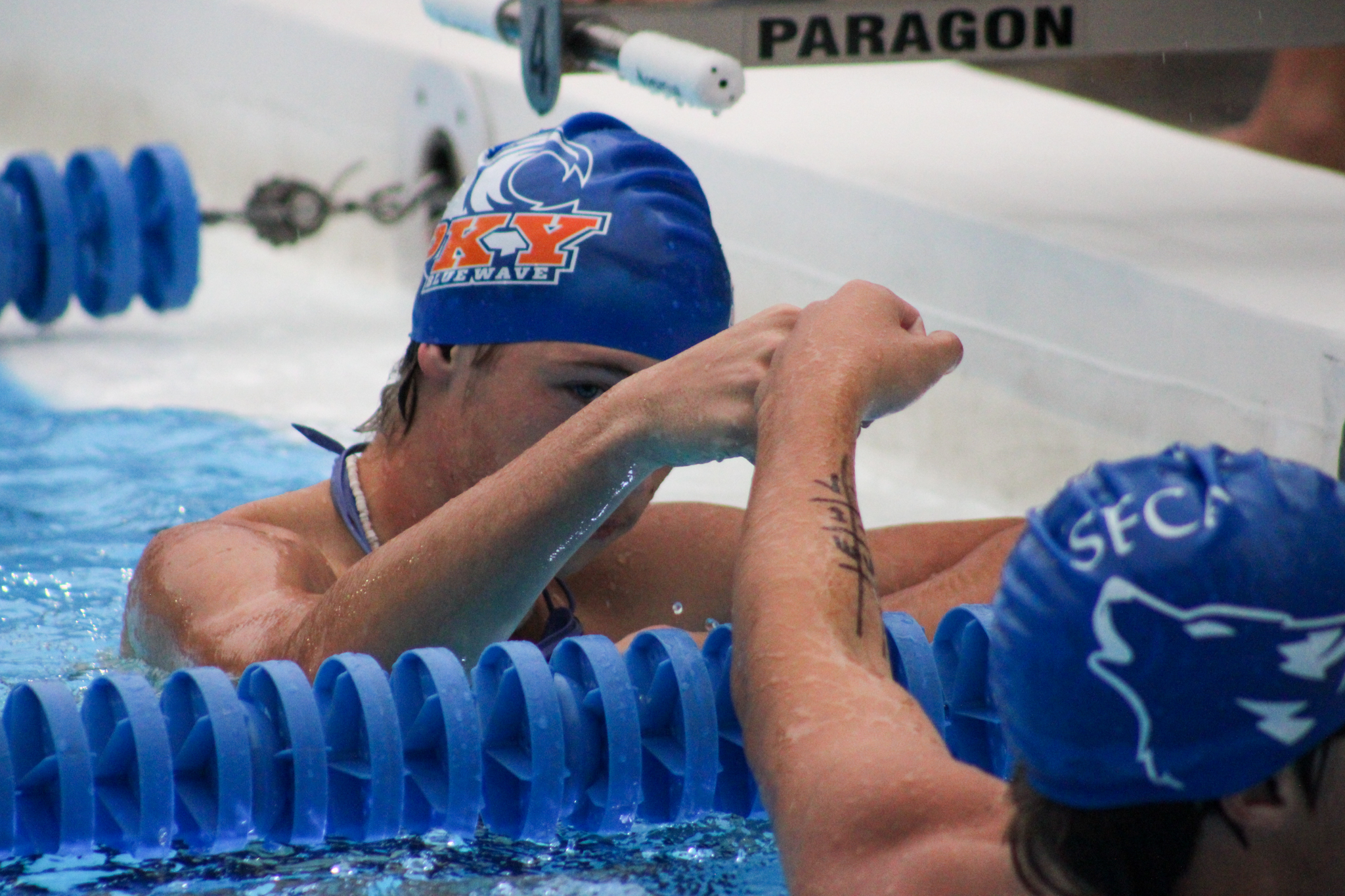 Gators swim