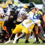 Newberry Panthers