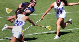 Gators