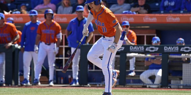 Gators