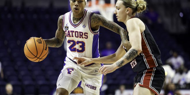 Gators