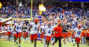 Gators