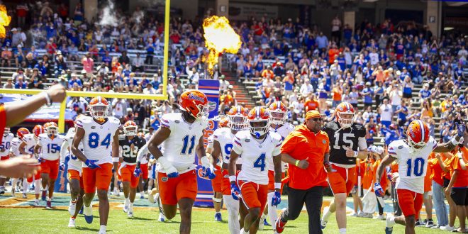 Gators