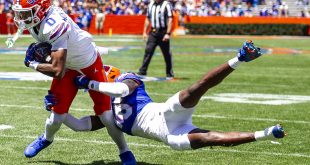 Gators
