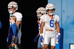 Gators