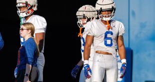 Gators