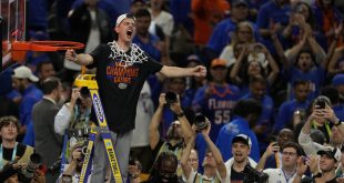 Gators