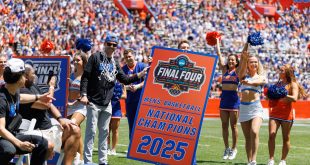Gators