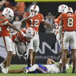 Gators