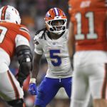 Gators