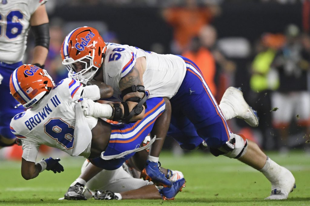 Gators