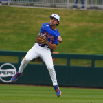 Gators