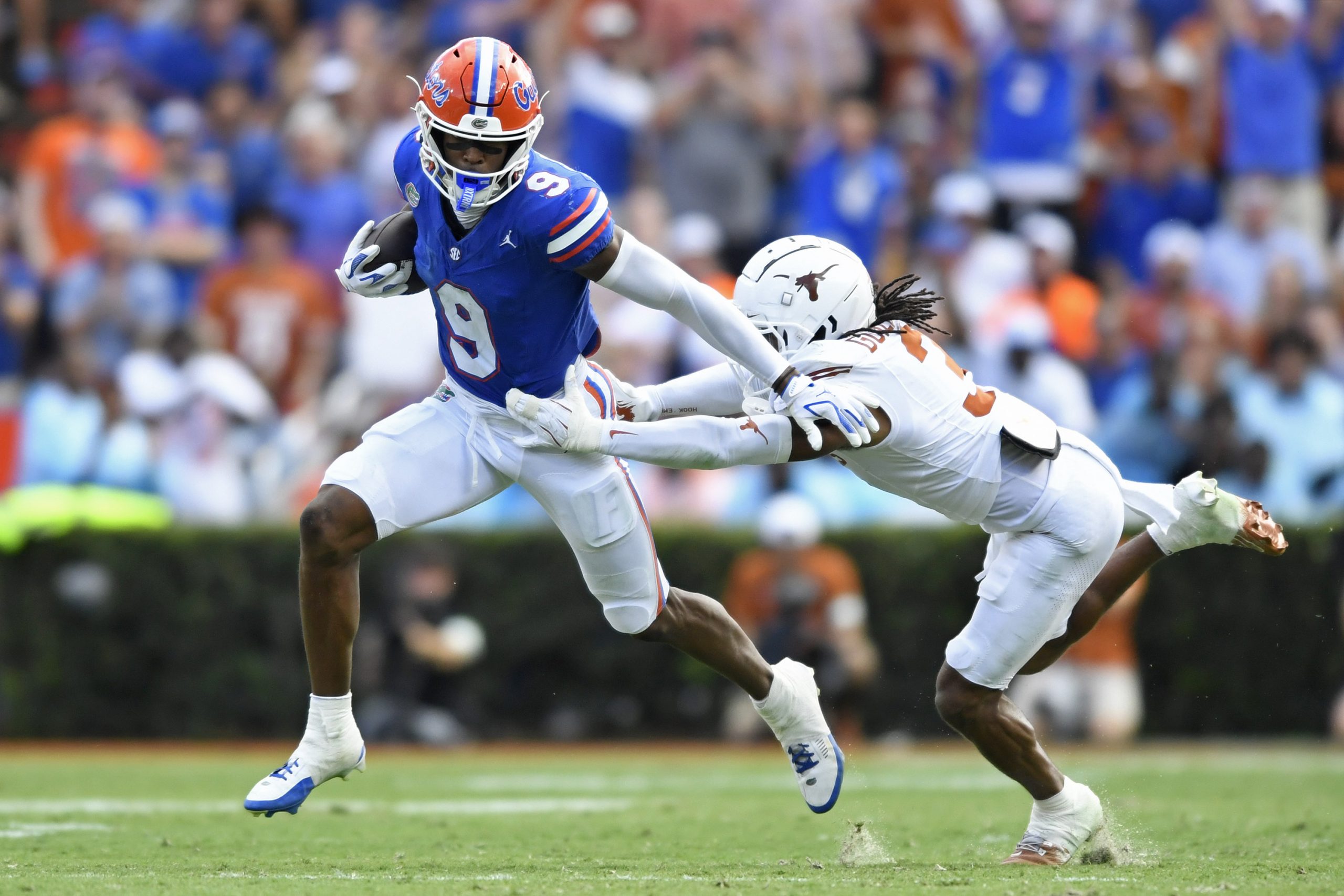 Gators