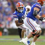 Gators