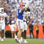 Gators